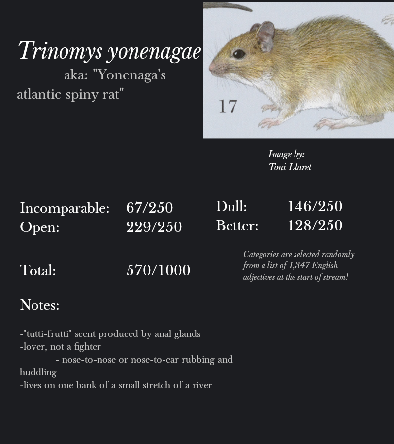 Trinomys yonenagae